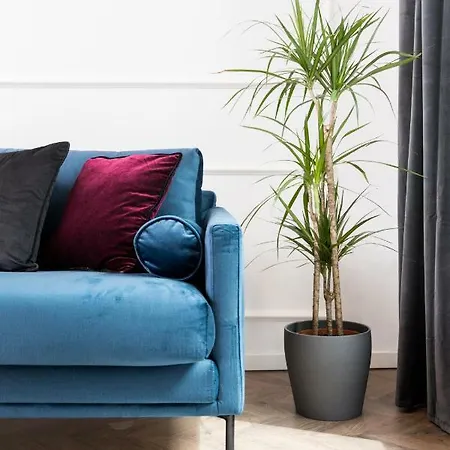 Apartment Eclectic Luxury 2bdr In Sofia's Heart Sofia